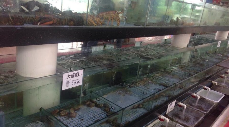 全新裝修，非常豪華美麗。點的每樣東西都非常好食，極力推介他們的雪山包，炸醬麵和海鮮