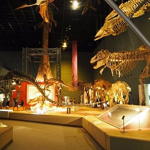 小田原市で雨の日に楽しめるイチ押しの屋内観光スポット5 選 トリップアドバイザー 小田原市で雨の日に楽しめるイチ押しの屋内観光スポット5 選 トリップアドバイザー