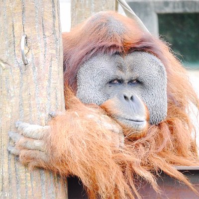 21年 千葉市で絶対外さないおすすめ観光スポットトップ10 定番から穴場まで トリップアドバイザー 21年 千葉市で絶対外さないおすすめ観光スポットトップ10 定番から穴場まで トリップアドバイザー