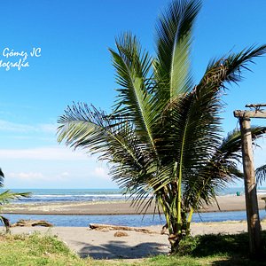 Playa Villa Del Mar (Veracruz) - 2023 Lo que se debe saber antes de viajar  - Tripadvisor