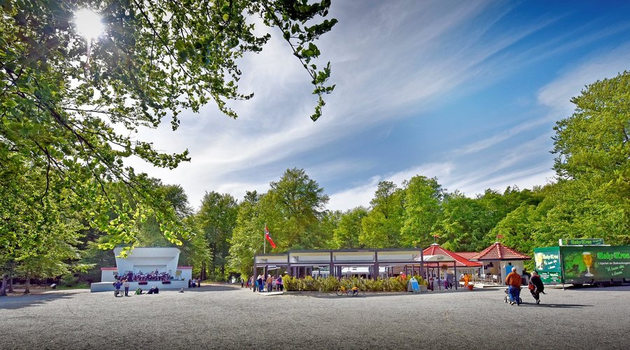 I hjertet av Bøkeskogen