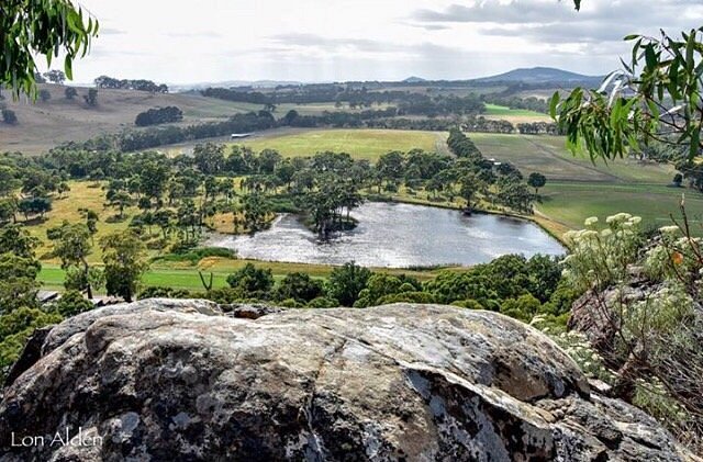 are dogs allowed at hanging rock reserve