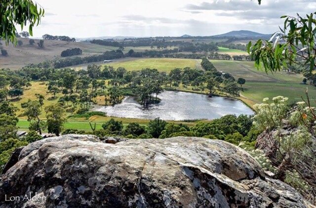 are dogs allowed at hanging rock victoria