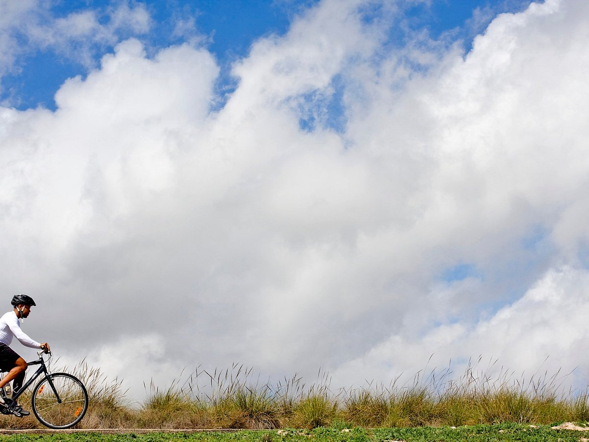 Bike Spain Tours - Day Tours (Madrid) - All You Need to Know BEFORE You Go