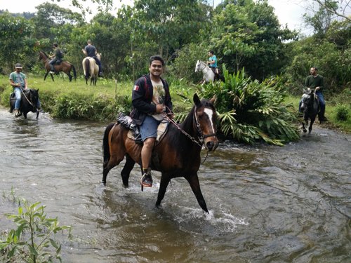 THE 10 BEST Salento Horseback Riding Tours (Updated 2023)