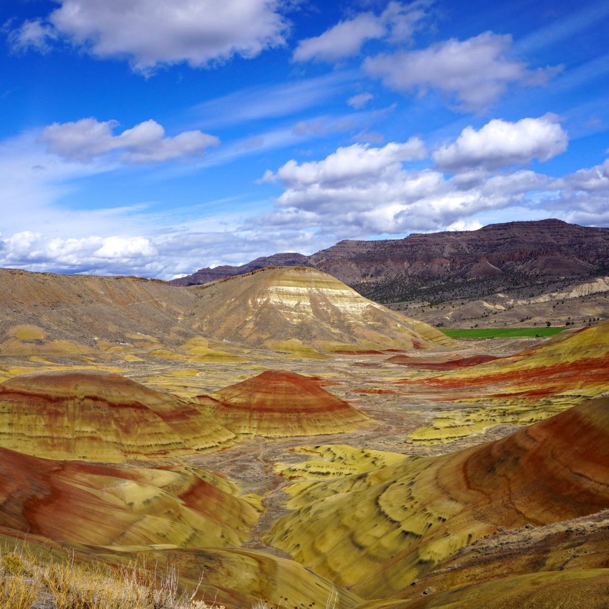 John Day Fossil Beds National Monument - ATUALIZADO 2021 O que saber ...