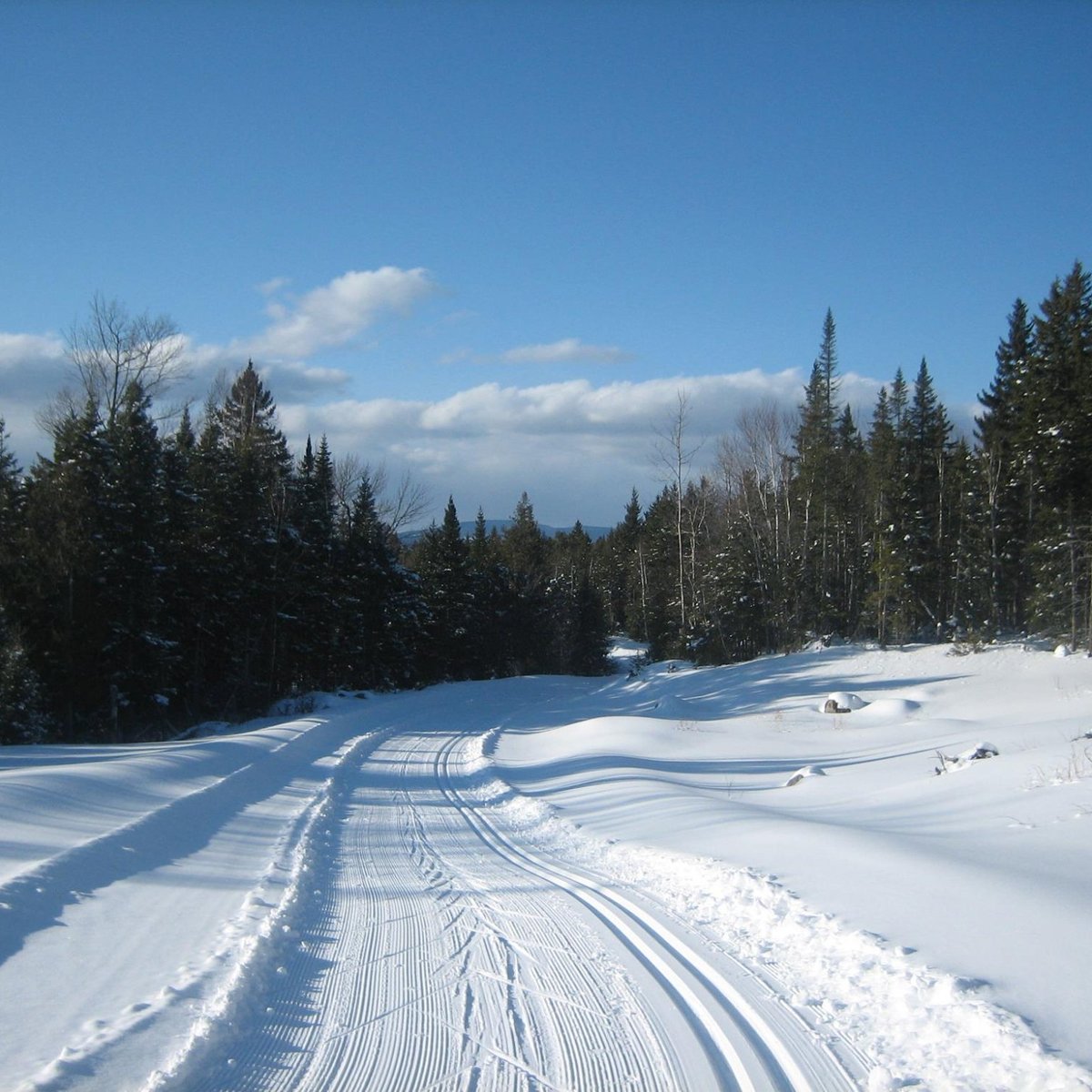 Rangeley Lakes Trails Center - All You Need To Know Before You Go (2024)