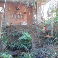 jardin de los picaflores