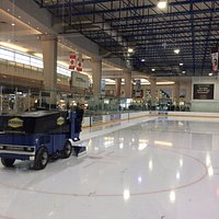 Zamboni