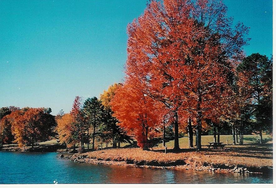 Cane Creek Park image