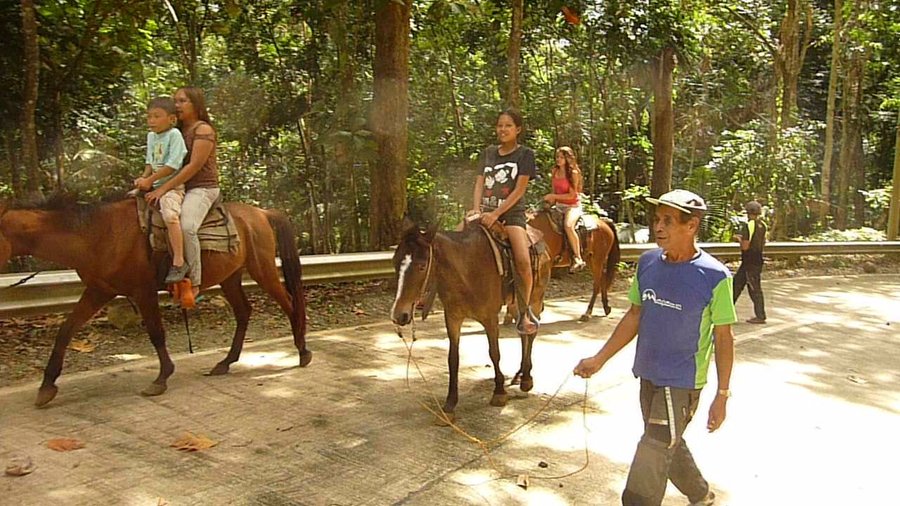 Betreutes Reiten im Mapawa Park