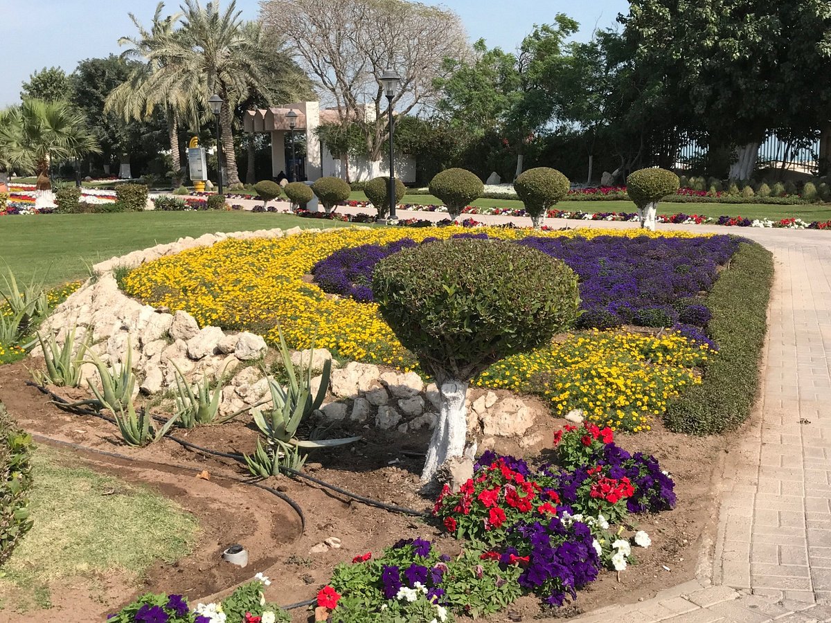 The 7 most beautiful parks in Qatar