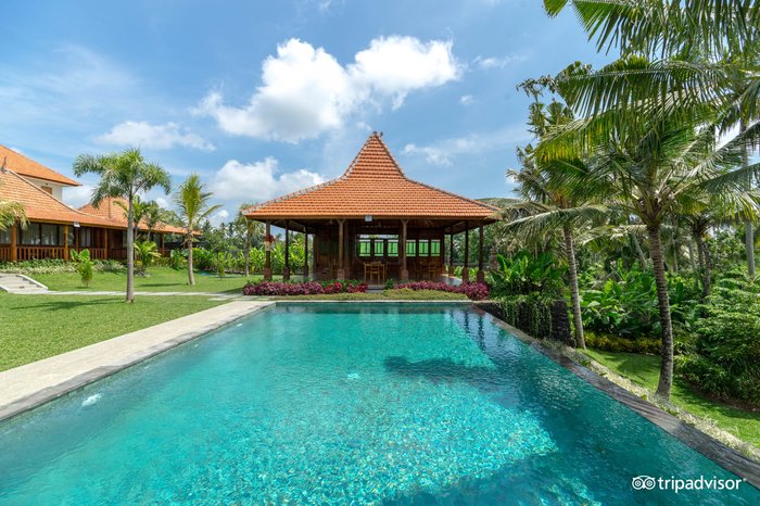 PERTIWI BISMA UBUD - Updated 2024 Prices & Hotel Reviews (Bali)