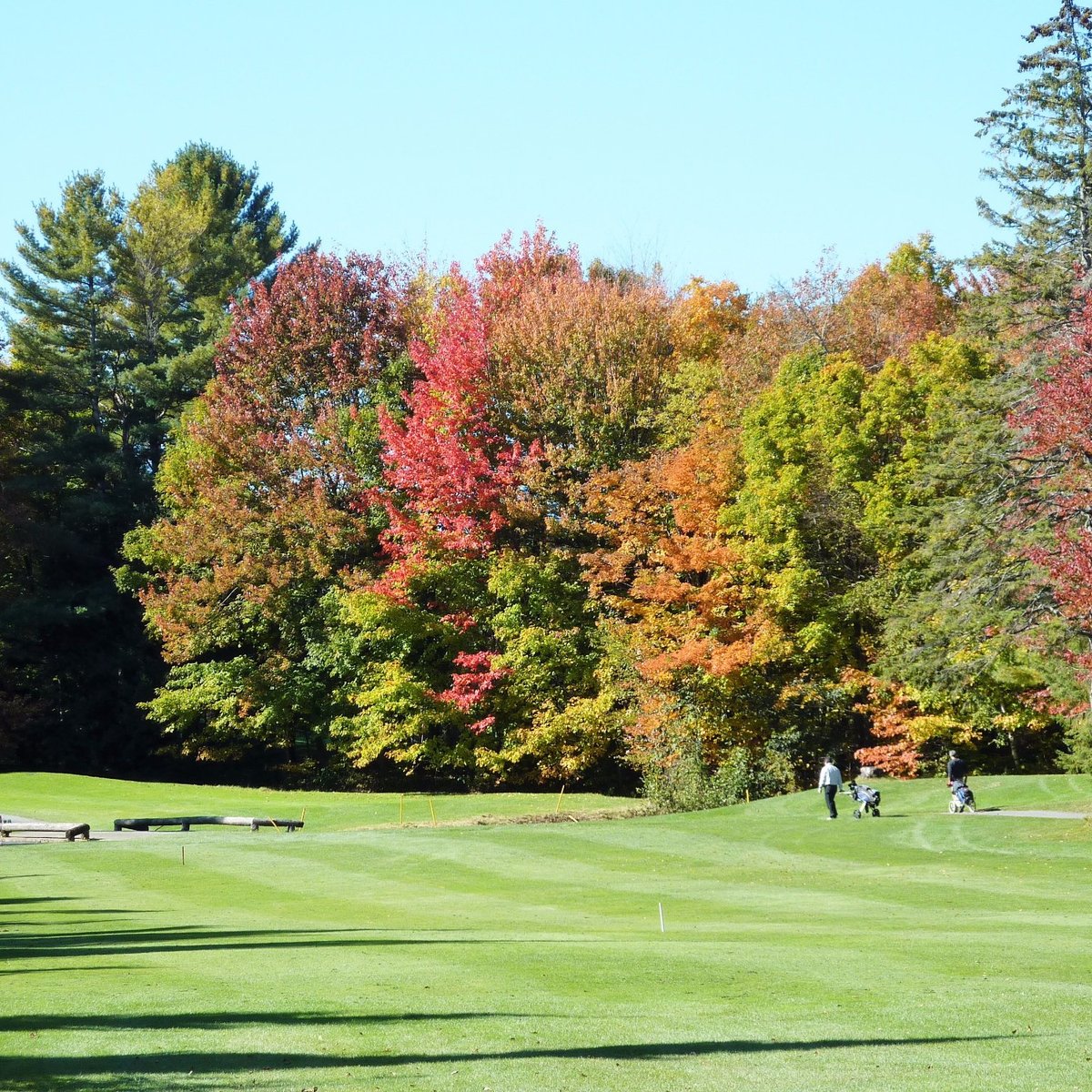 Club De Golf Jerome 세인트 제롬 Club De Golf Jerome의 리뷰 트립어드바이저