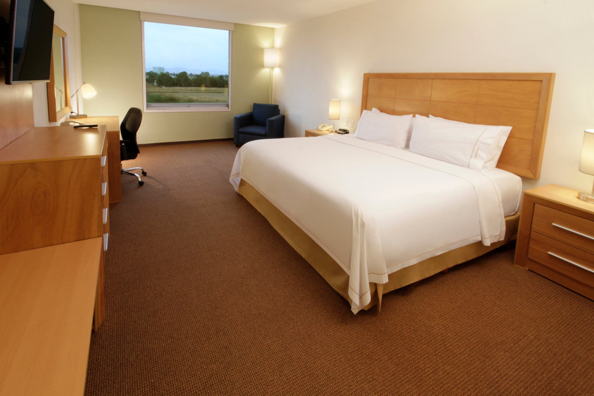 Hotel photo 64 of Holiday Inn Express & Suites Irapuato, an IHG hotel.