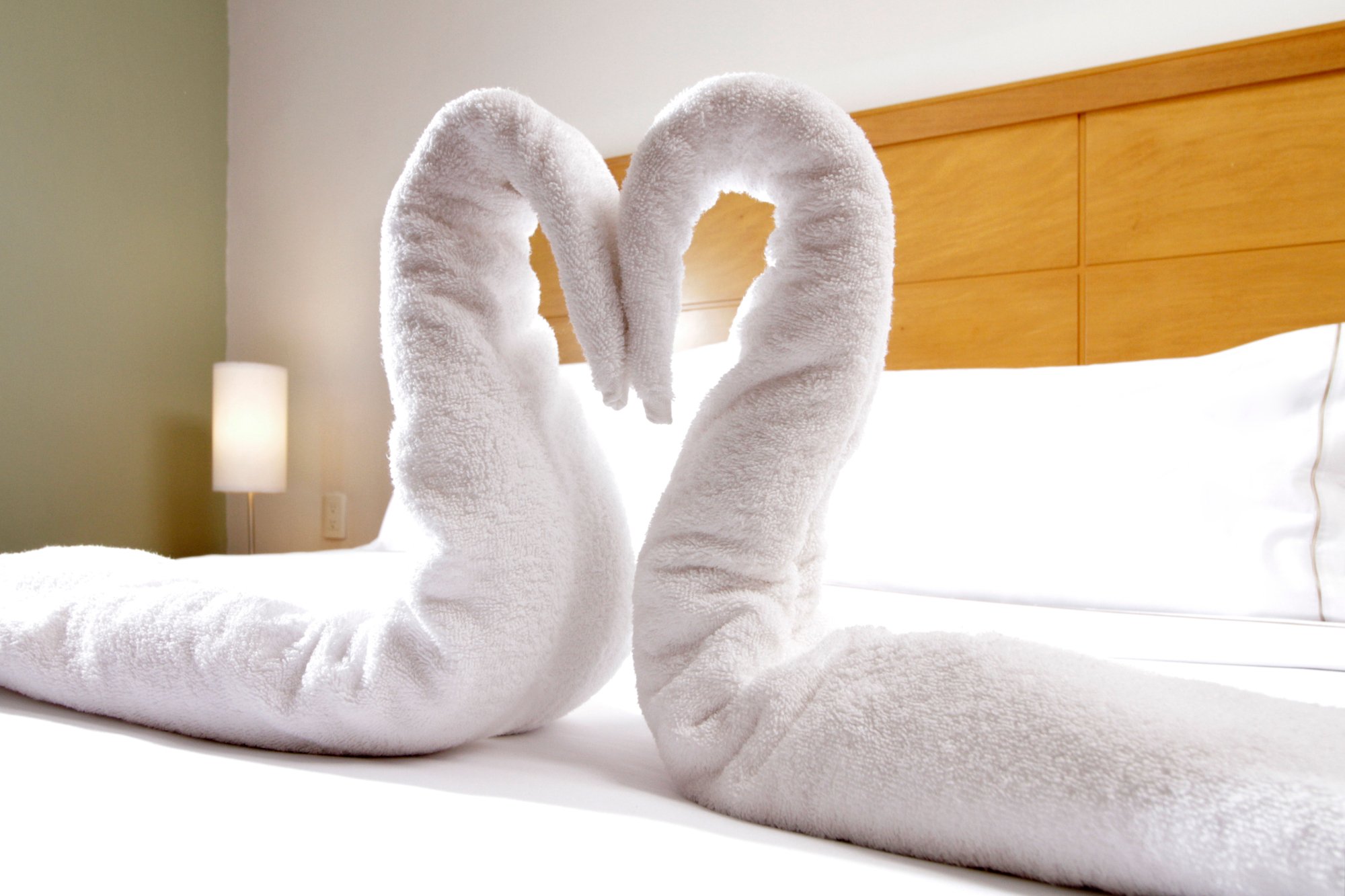 Hotel photo 55 of Holiday Inn Express & Suites Irapuato, an IHG hotel.