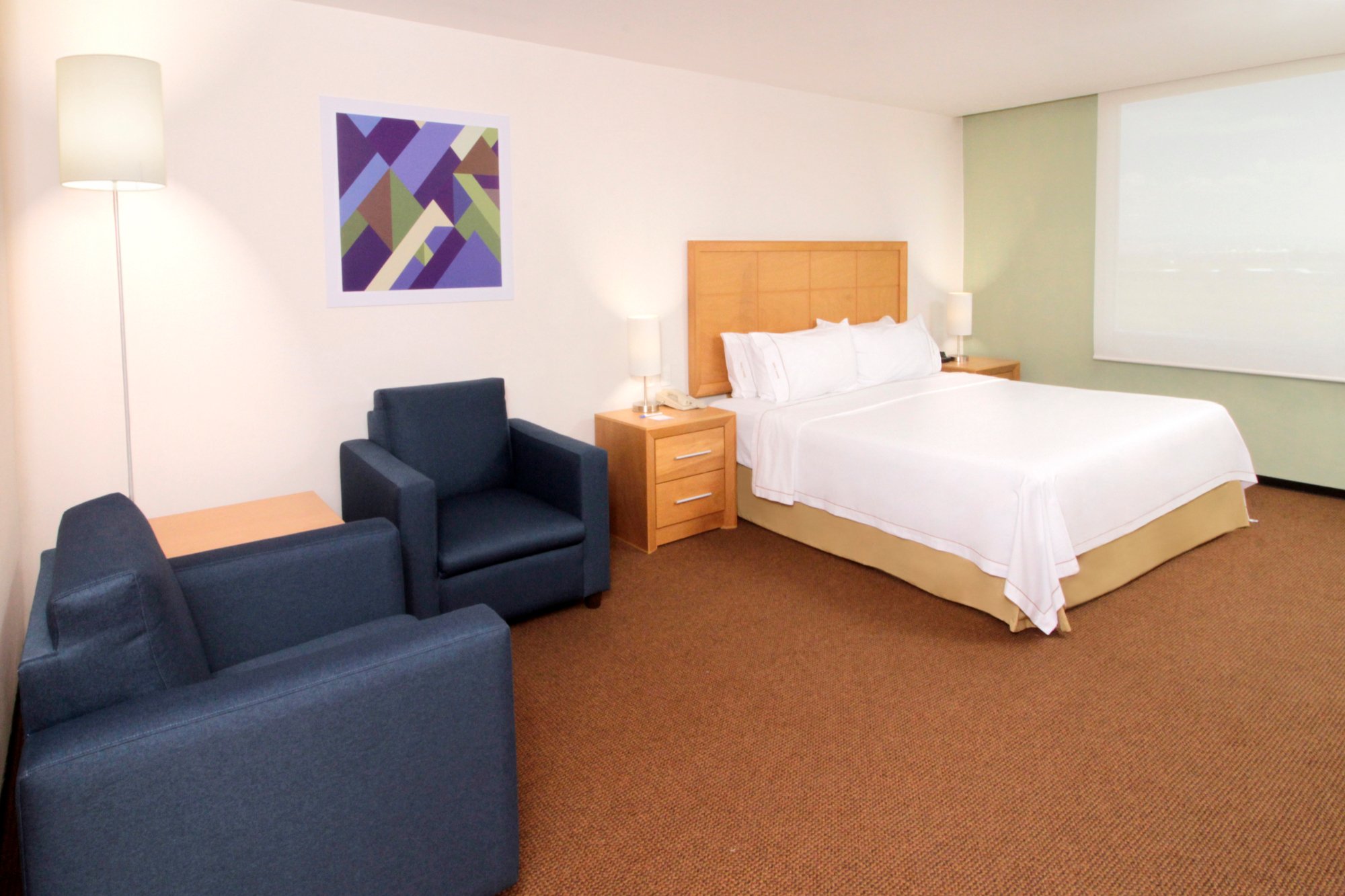 Hotel photo 27 of Holiday Inn Express & Suites Irapuato, an IHG hotel.