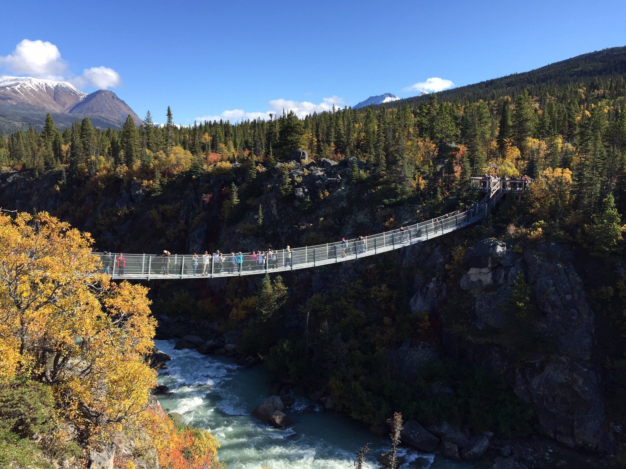 Yukon Suspension Bridge Whitehorse All You Need To Know BEFORE You Go   One Of The Most Awe Inspiring 