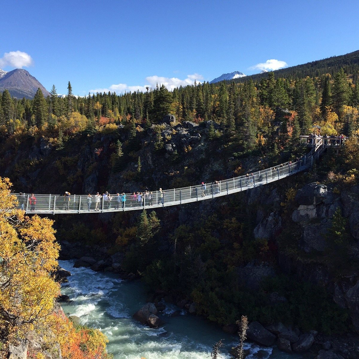 Yukon Suspension Bridge Whitehorse All You Need To Know Before You Go