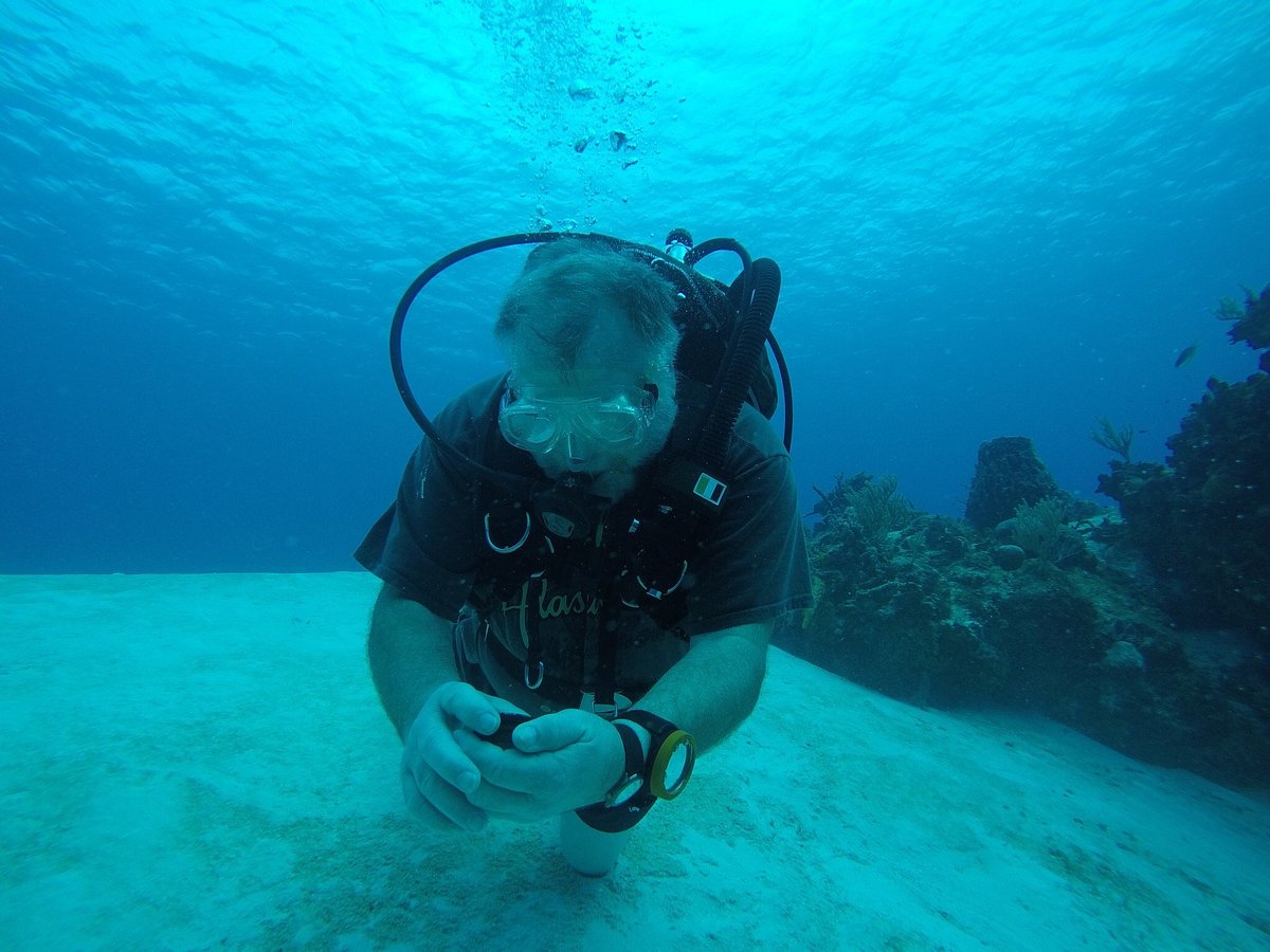 Diveedgar (Cozumel) - All You Need to Know BEFORE You Go