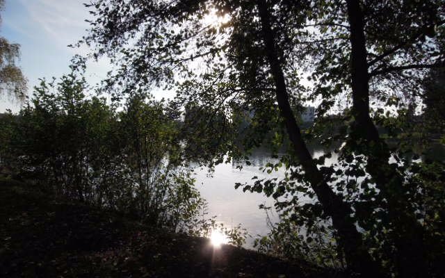 vue sur l'Etang - Novembre 2016