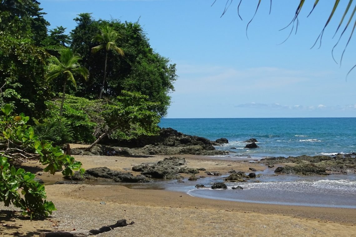 Tours In Osa (palmar Norte, Costa Rica): Address, Phone Number 