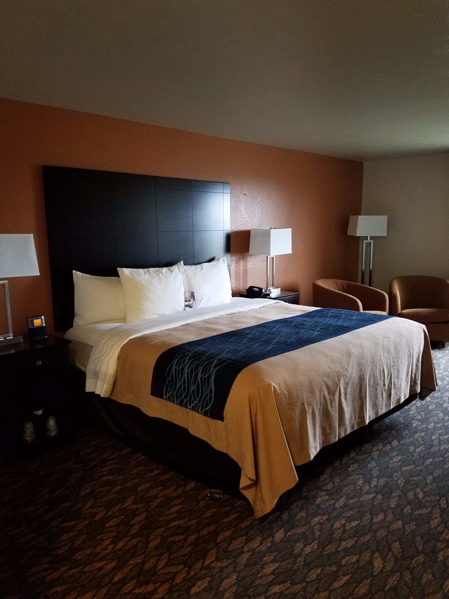 COMFORT INN SUITES Updated 2024 Reviews Photos Prices   Comfort Inn Suites Ashland 