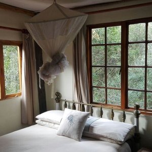 Old Olive Cabin