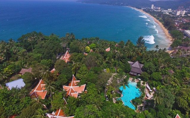 Where the Jungle meets the Sea