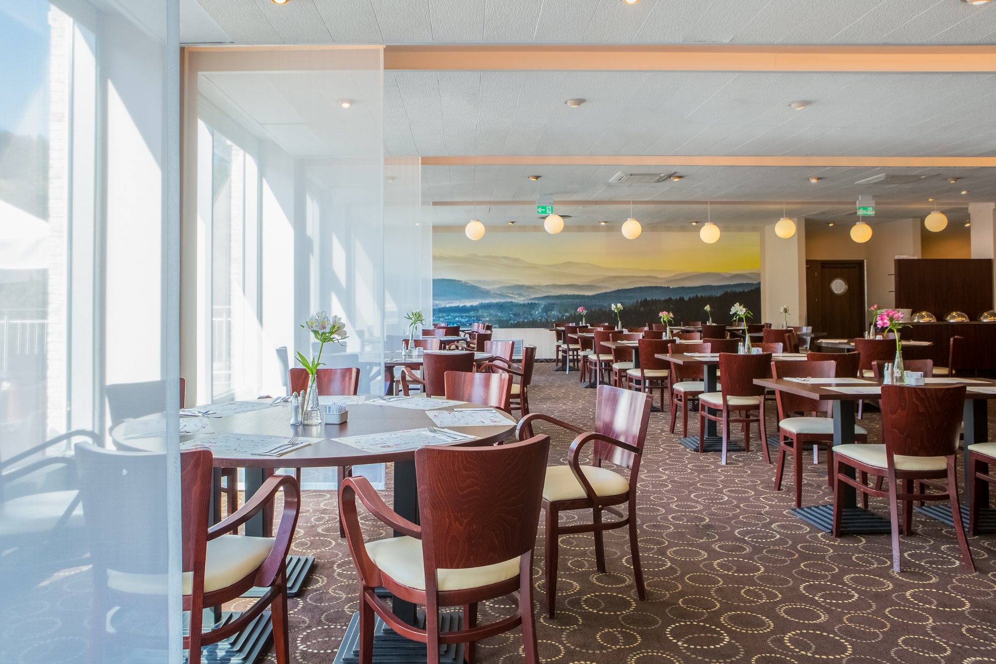 Hotel photo 93 of Mercure Karpacz Skalny.