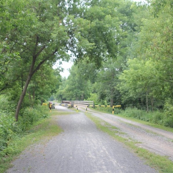 Hills Creek State Park Wellsboro 2022 All You Need To Know Before You Go With Photos 3180