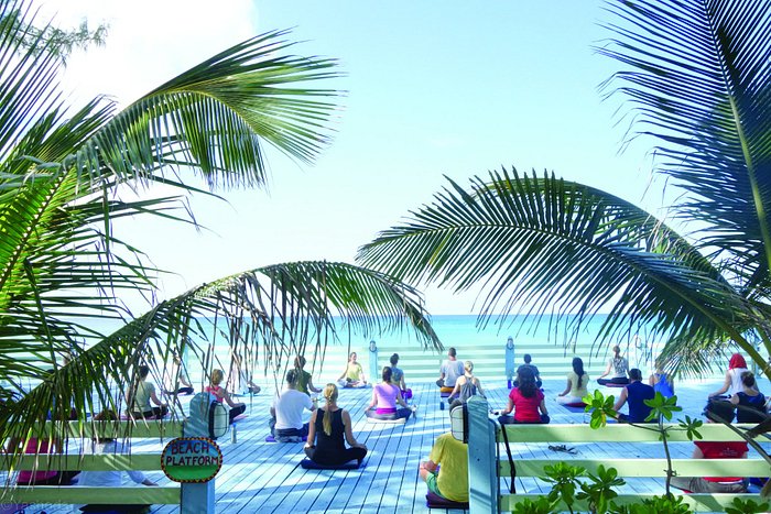 Sivananda Ashram Yoga Retreat Bahamas (Paradise Island) - Spa Reviews,  Photos, Rate Comparison - Tripadvisor