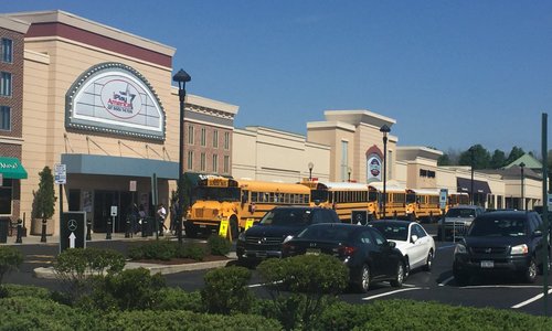 Great for field trips and camps!