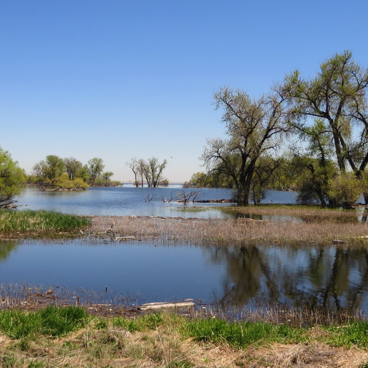 Barr Lake State Park (Brighton): All You Need to Know