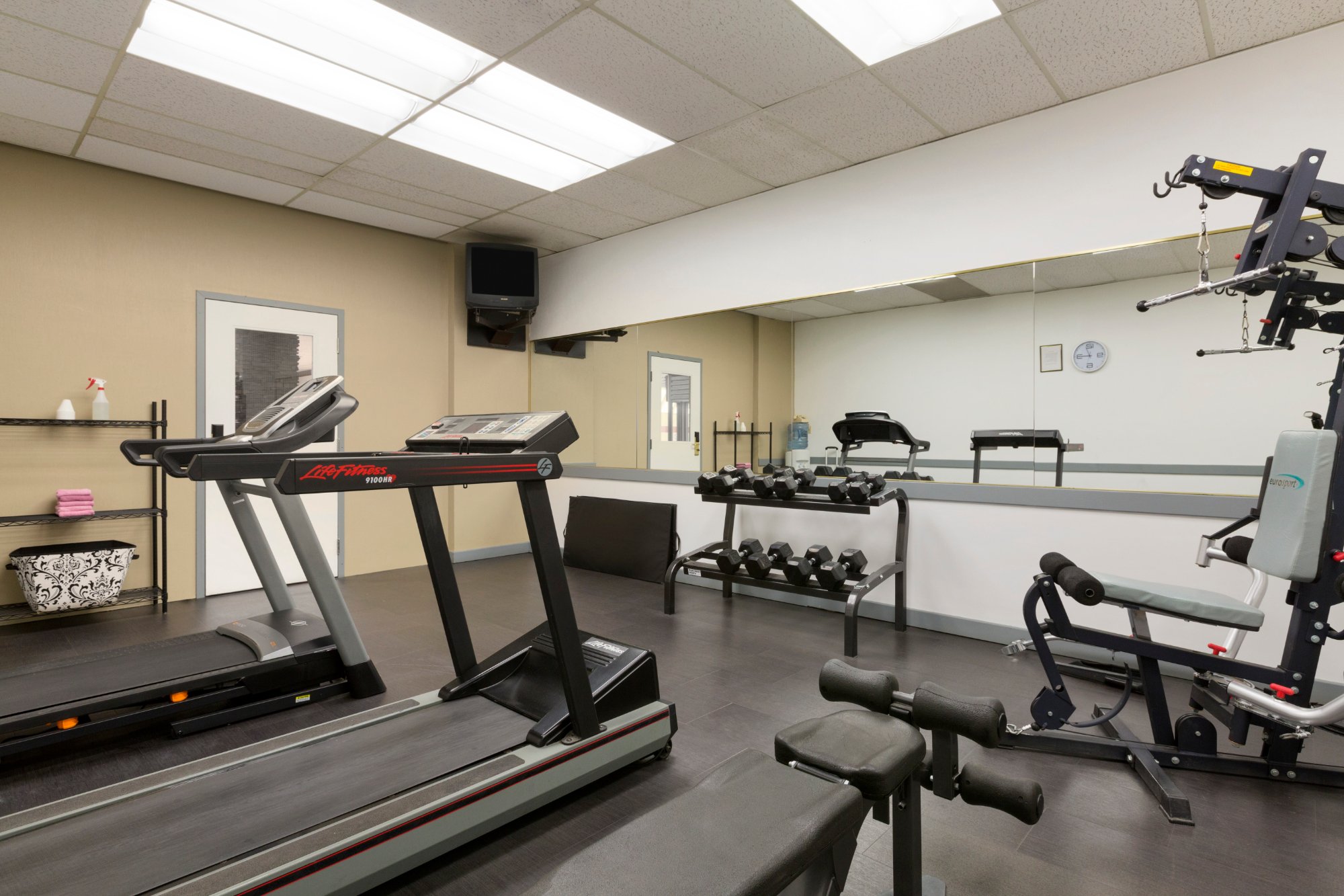 Exercise bench online calgary