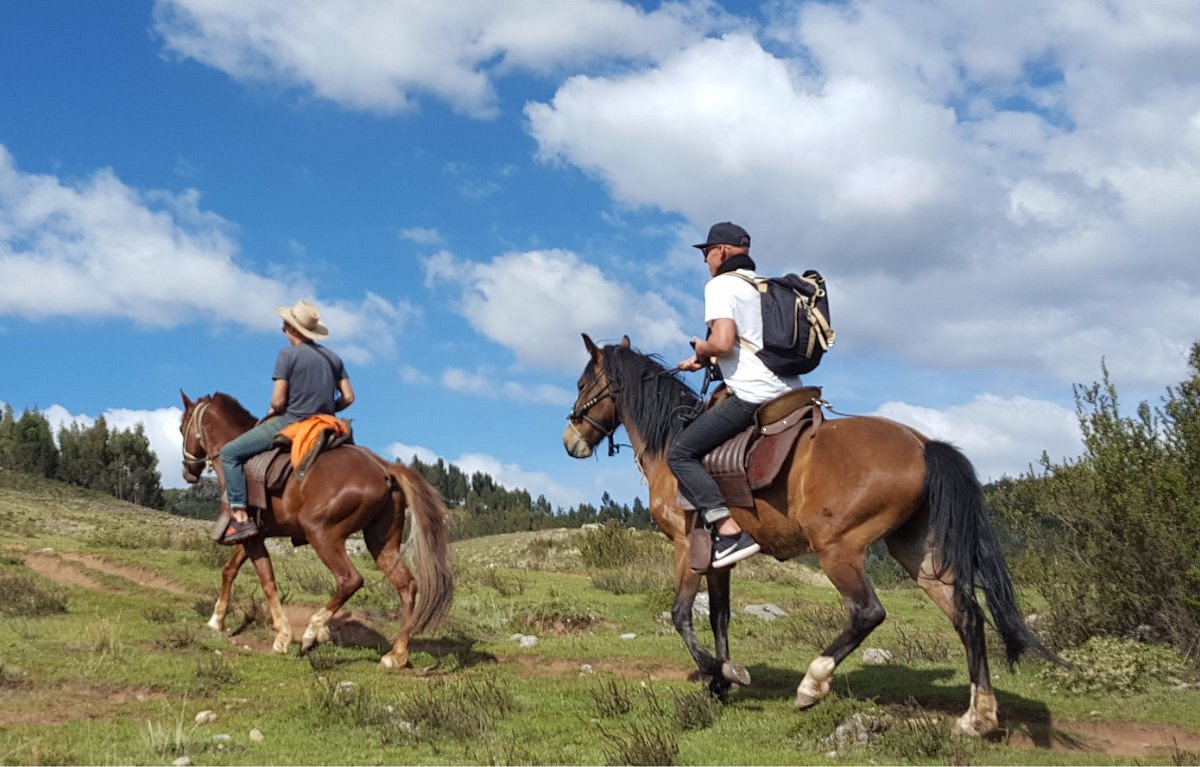 На русском ride a horse. Конные экскурсии Владикавказ. Horseback riding. Куба лошади. Обои на рабочий стол ранчо.