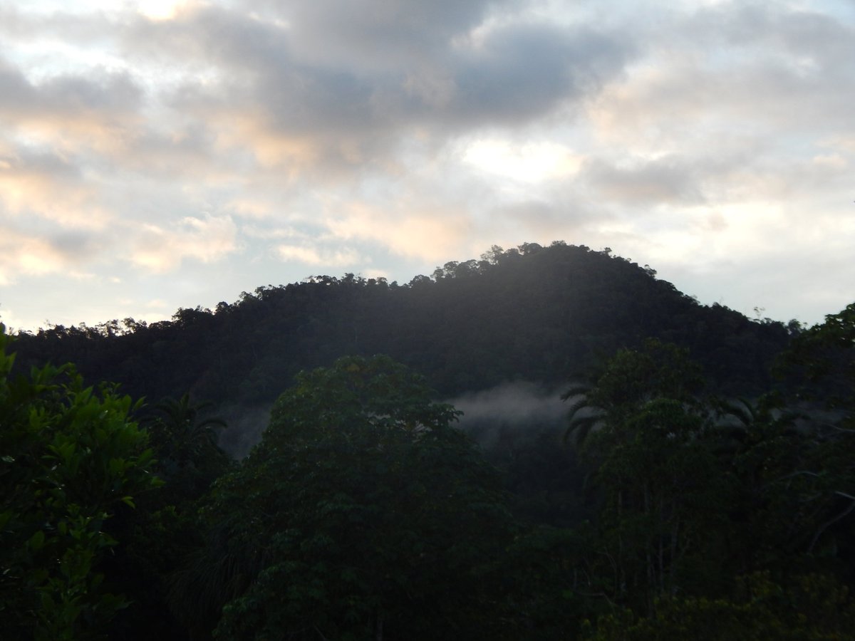 Parque Nacional da Serra do Divisor