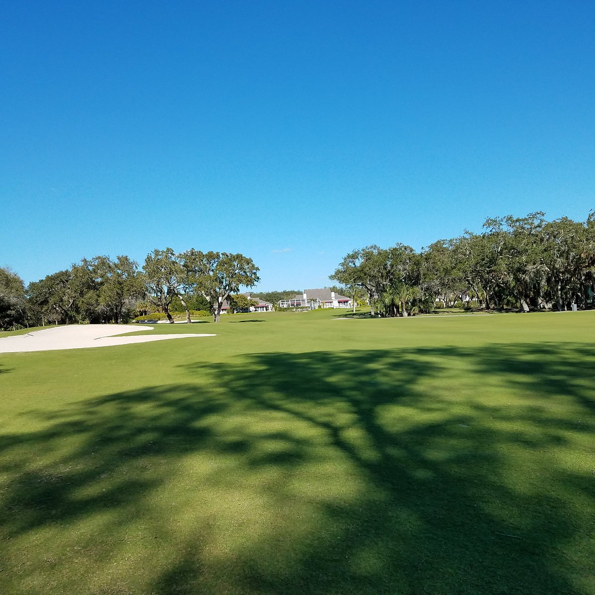 Harbourside Golf Course (Longboat Key) All You Need to Know BEFORE You Go