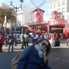 Michela.70.to