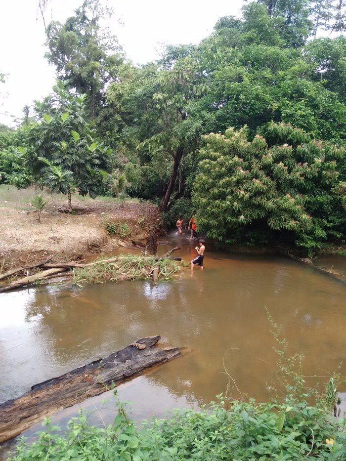 VILLAGE NATURE LES BALISIERS (Roura, Frans Guyana) - foto's en reviews ...