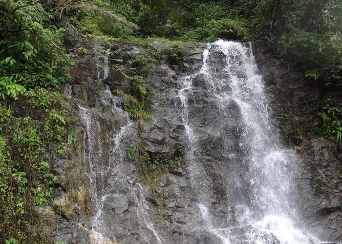 on the way to kakkayam dam