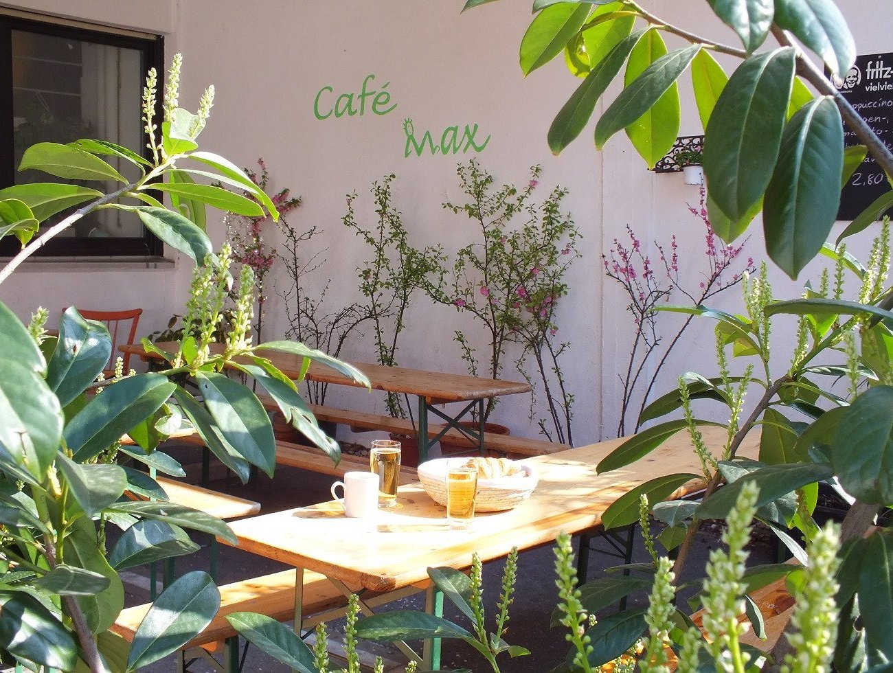 Max Hostel by null