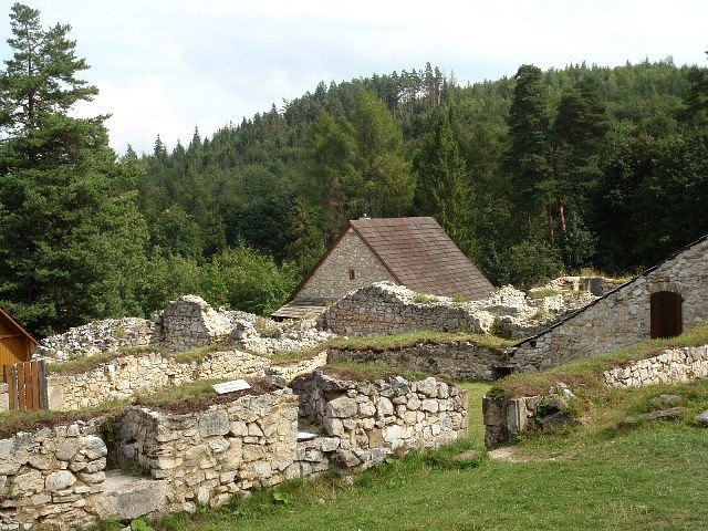 Kartuzian monastery ruins image