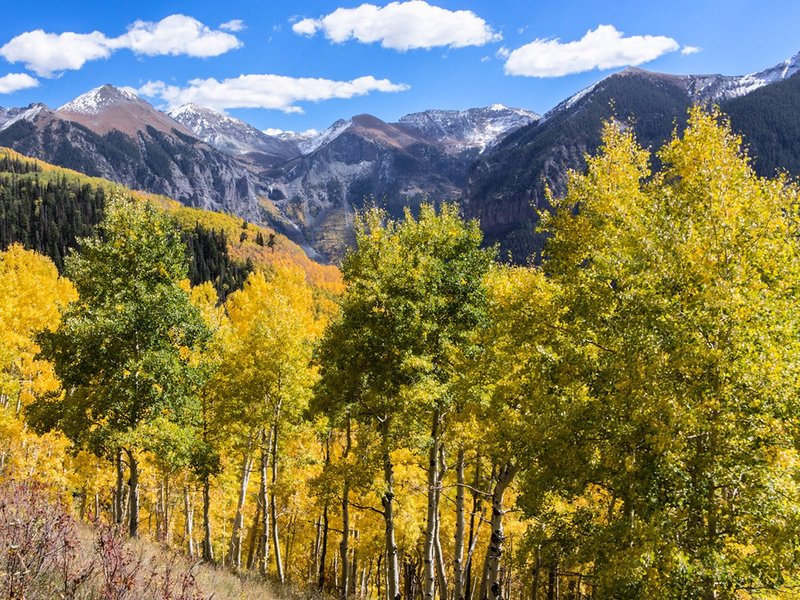 Telluride, CO 2024: Best Places to Visit - Tripadvisor