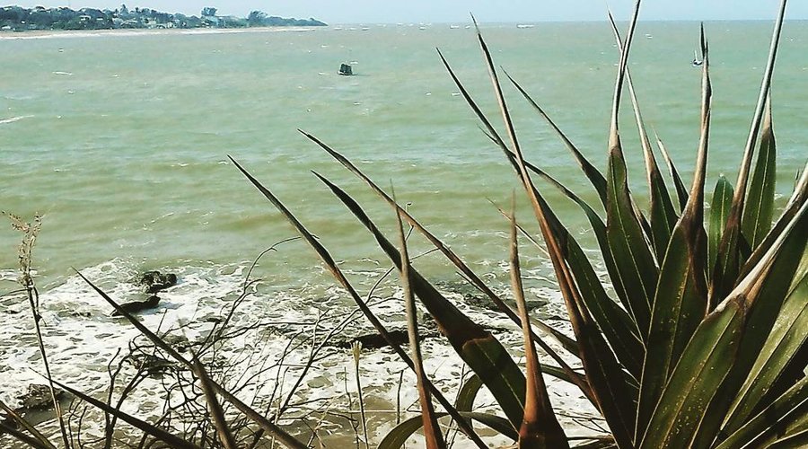 Bela praia.