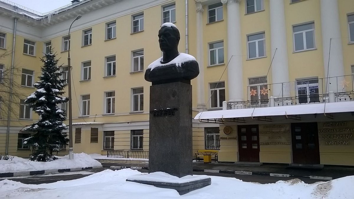 Бюст хирурга и кардиолога А.Н. Бакулева, Москва: лучшие советы перед  посещением - Tripadvisor