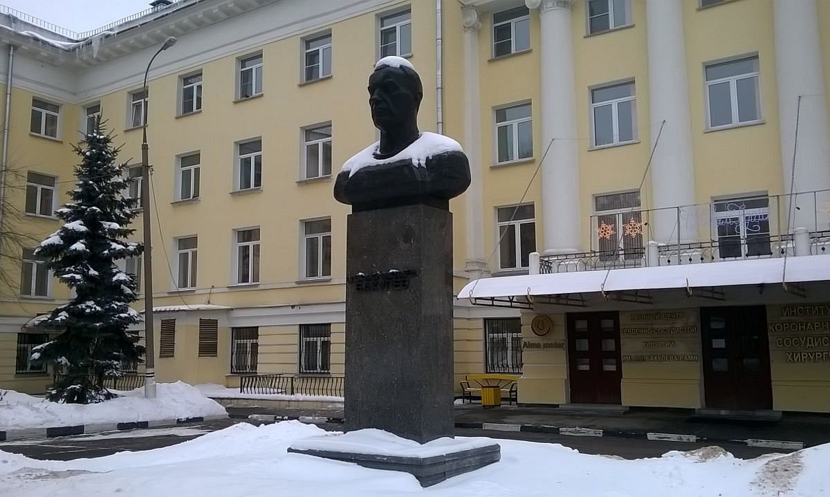 Бюст хирурга и кардиолога А.Н. Бакулева, Москва: лучшие советы перед  посещением - Tripadvisor