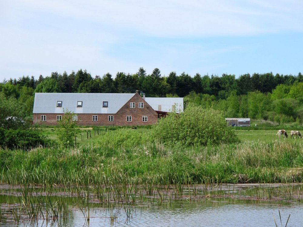 DIE TOP 10 Sehenswürdigkeiten in Ringkøbing 2024 (mit fotos) Tripadvisor