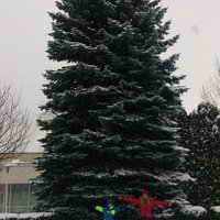 Трускавець