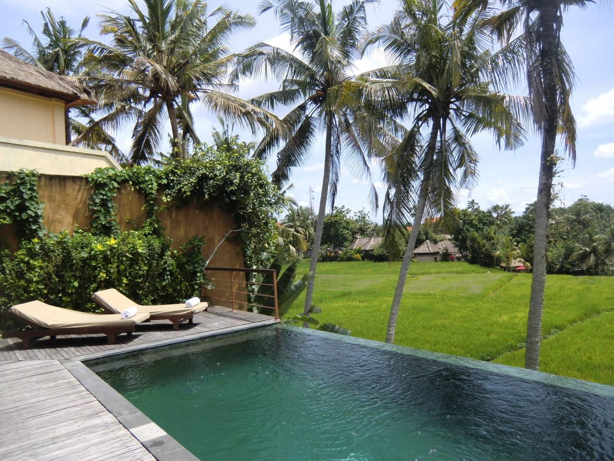 Motama Villa Pool Pictures & Reviews - Tripadvisor